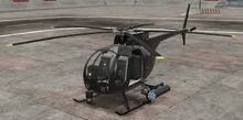 Buzzard1.jpg