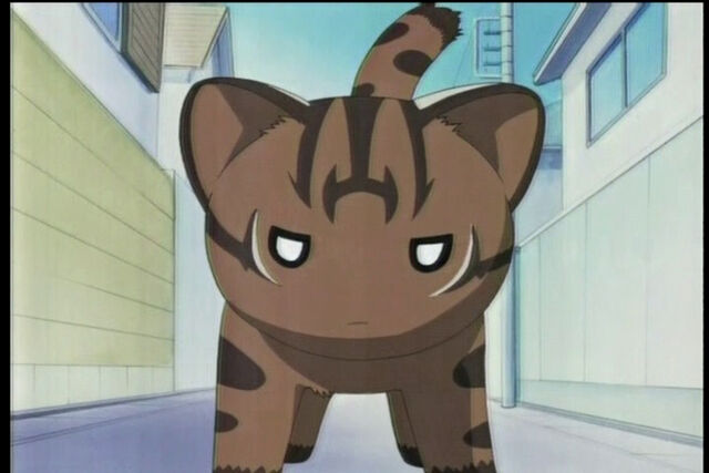 File:Maya In The Street.jpg