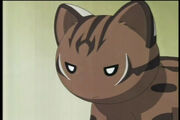 Maya Angry
