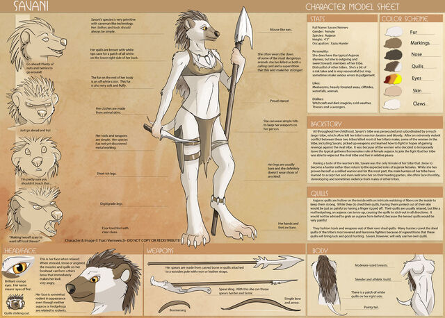 File:Savani-charactersheet2.jpg