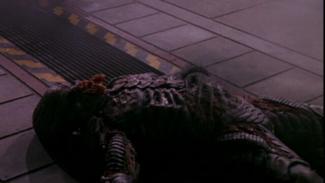 File:Dead Zarg.jpg