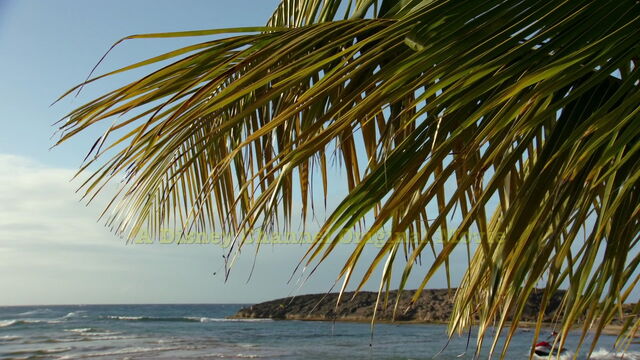 File:Teen-beach-movie-disneyscreencaps.com-3.jpg