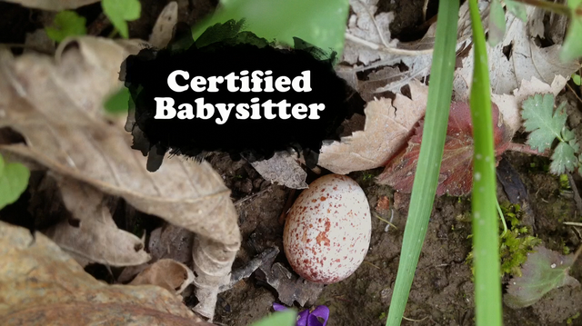 File:Certified Babysitter.png
