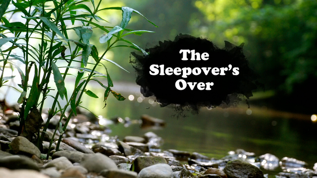 File:The Sleepover's Over.png
