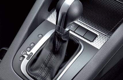 File:Dsg1 1.jpg
