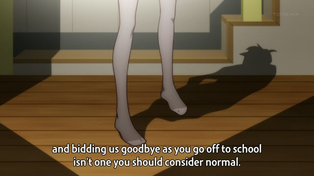 File:Koyomi's mother stockings SecondSeasonEp4at3m55s.jpg