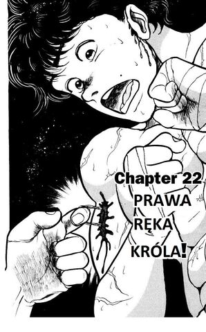 Plik:22-1.jpg