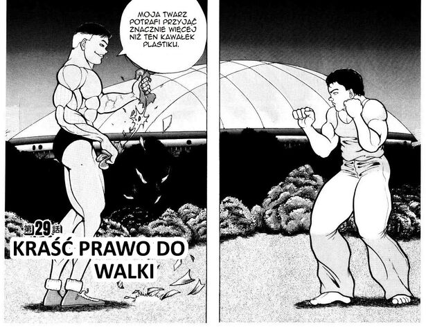 Plik:29.jpg