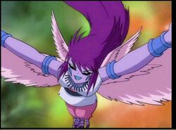 Purple Harpus (2)