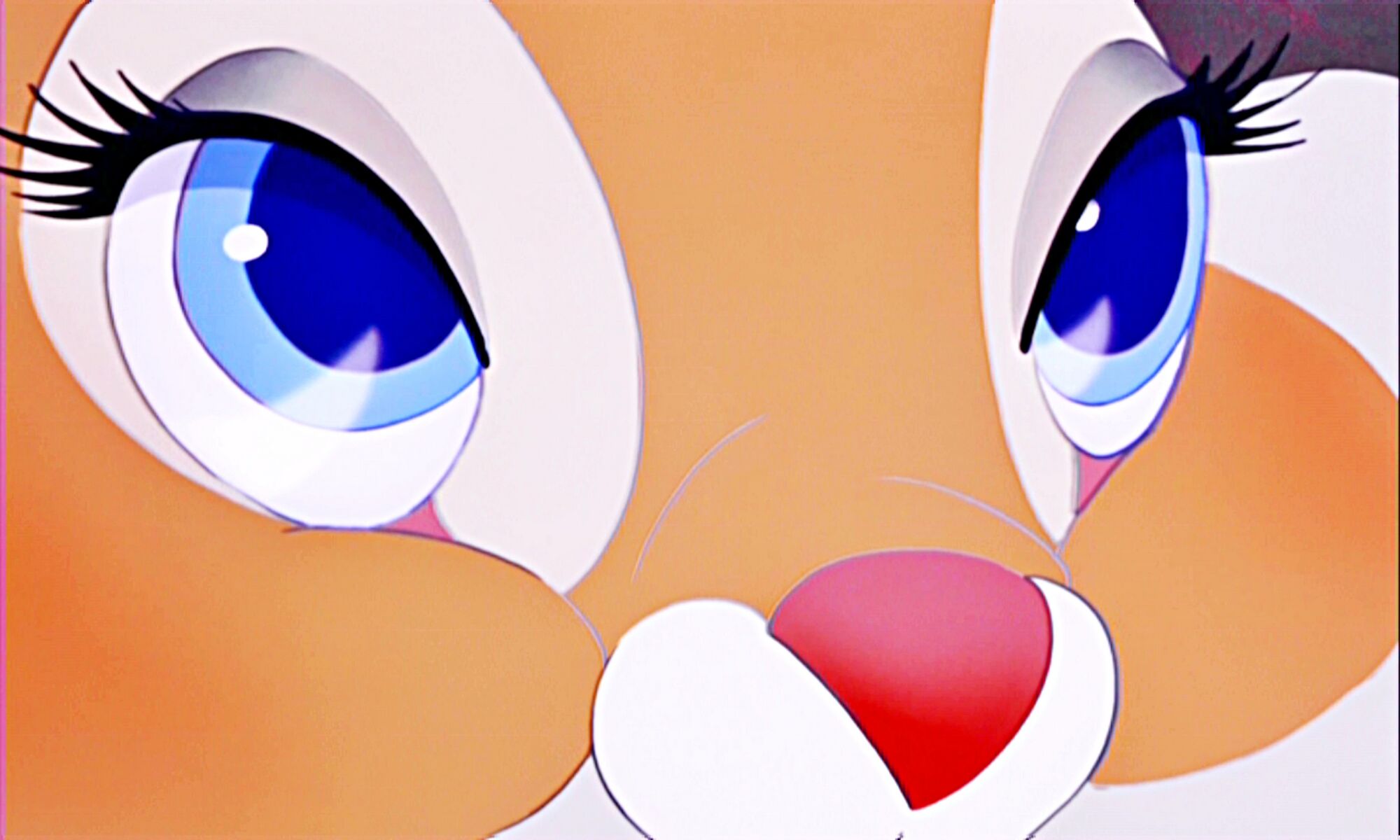 Bild BambiMissBunnybambi2468477825601536.jpg Bambi Wiki