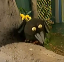 Maggie Magpie