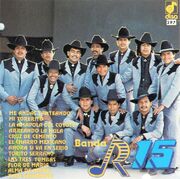 R-15 91.jpg