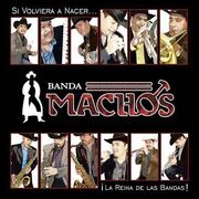 Machos13.jpg