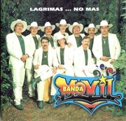 Lágrimas...no más