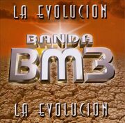 Bm3.jpg