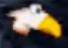 File:Eyerie.png