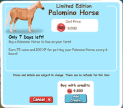 Palomino Horse