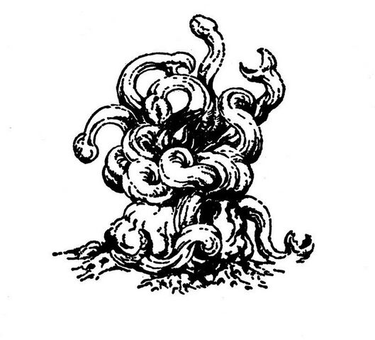 File:Calot-Tree.jpg