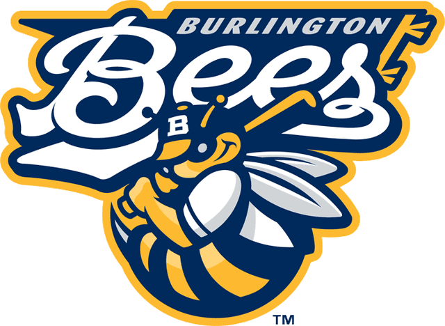 File:Burlington Bees.gif
