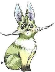 Bunnycat