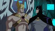 Hawk bat