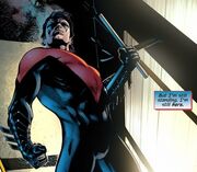 Red nightwing.jpg