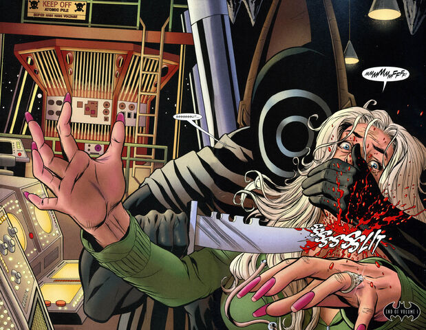 File:1354228-batmanthewideninggyre06.jpg