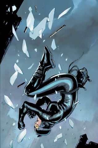 File:DCnU Catwoman.jpg