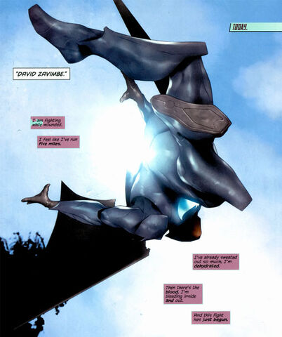 File:Batwing 010.jpg