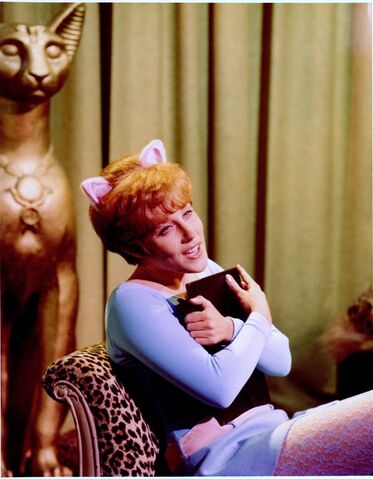 File:Pussycat 2.jpg