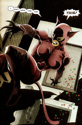 File:766208-catwoman 00.jpg