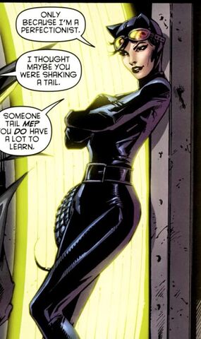 File:1361045-catwoman 01.jpg