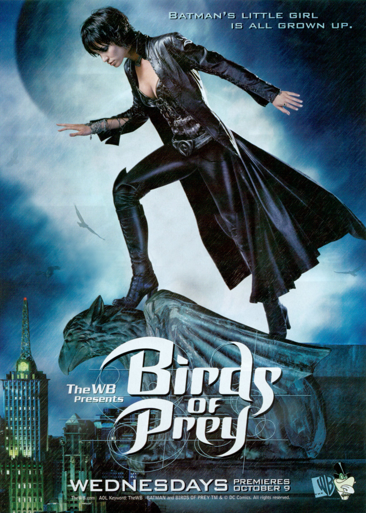 birds of prey dc 2019 cw birds of prey dc 2019 cw