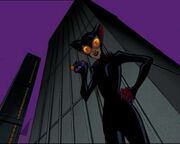 TheCatandtheBat.jpg