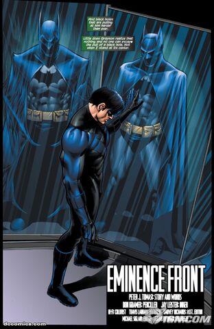 File:Nightwing-20090109032653172.jpg
