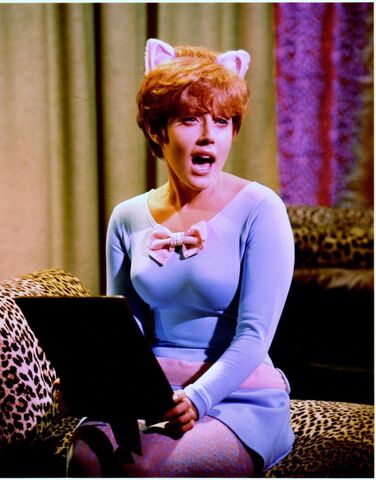 File:Pussycat 3.jpg