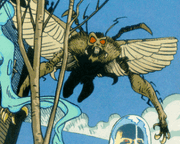 290px-Charaxes 1.gif