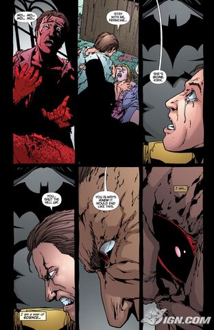 File:Batman-battle-for-the-cowl-man-bat-20090326042712813.jpg
