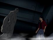 Yinbatman-characters-created-for-tv-and-film-20111201023122401-000