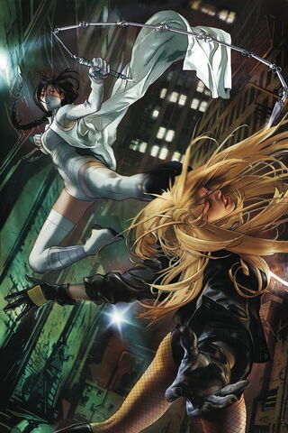 File:Birds of Prey The Brightest Day-4 Cover-1 Teaser.jpg