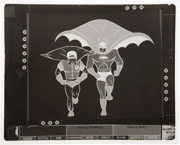 File:AnimationNegative.jpg