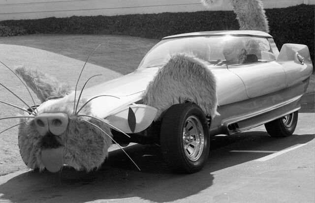 File:KittyCar.jpg
