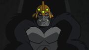 Gorilla Grodd