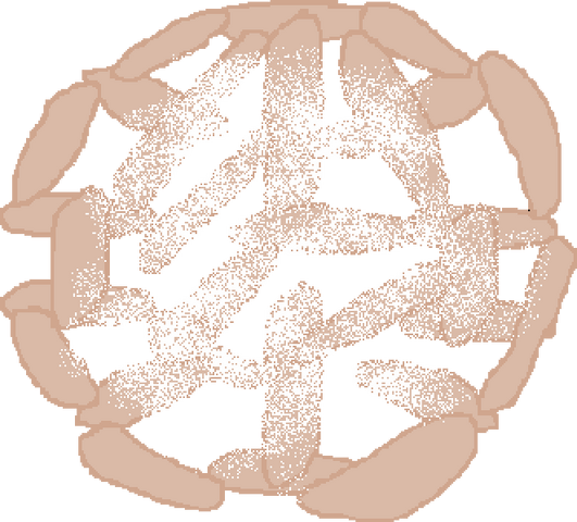 File:Funnel cake body.png