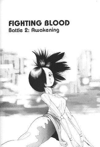 File:BAA01 31 Battle 2.jpg