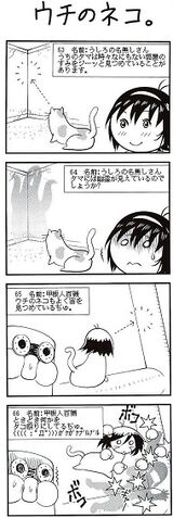 File:Our Cat.jpg