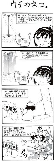 Our Cat