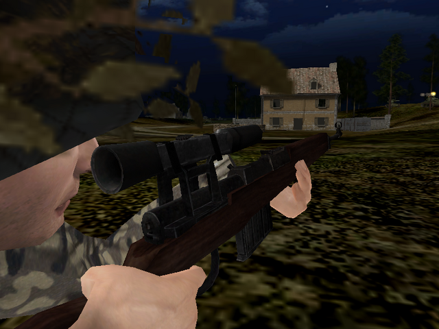 File:BF1942 SS G43.png