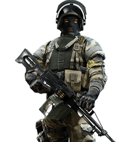 Support - Battlefield Wiki - Battlefield 4, Battlefield 3, Weapons ...