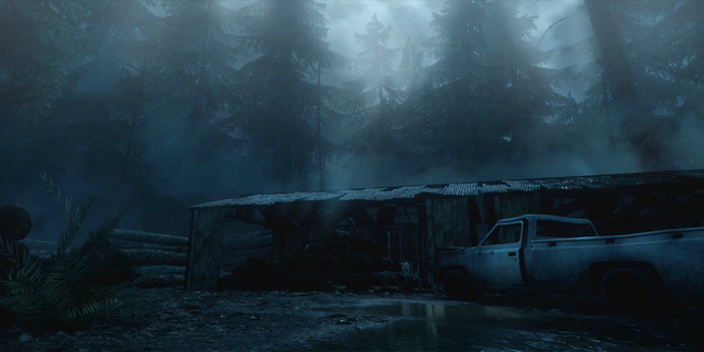 File:BFHL Nightwoods.png